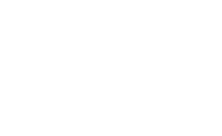 Logo de notre partenaire Castellamonte